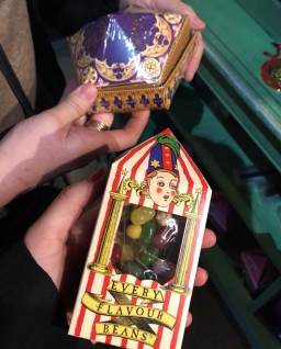 Chocolate Frog & Bertie Botts Every Flavour Beans